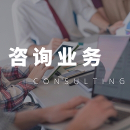 咨询业务